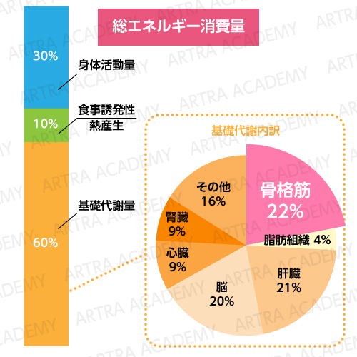 冷え対策の新常識 内面から不調を起こす糖化 酸化とは アトラアカデミー