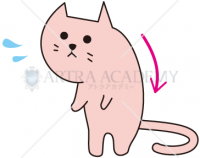 猫背の猫 イラスト 施術 素材ダウンロード アトラアカデミー